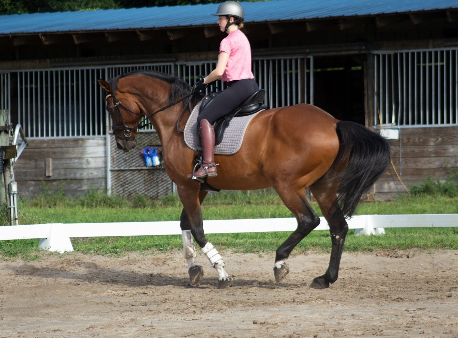 Horse and rider schooling