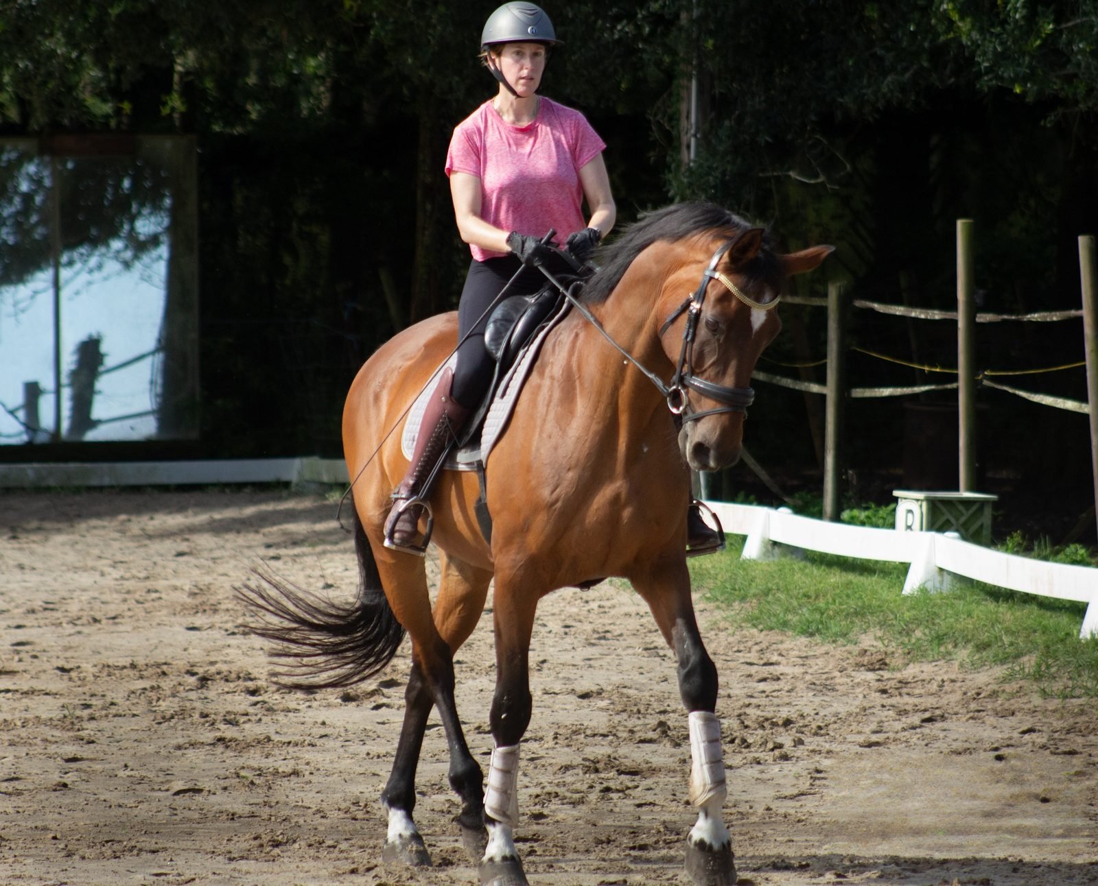 Dressage horse and rider trotting