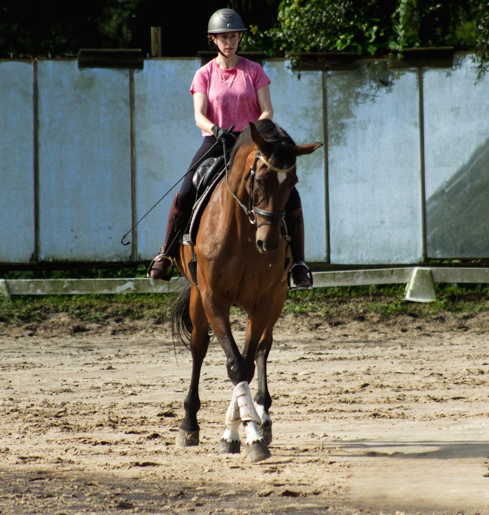 Dressage horse and rider crossing in the arena